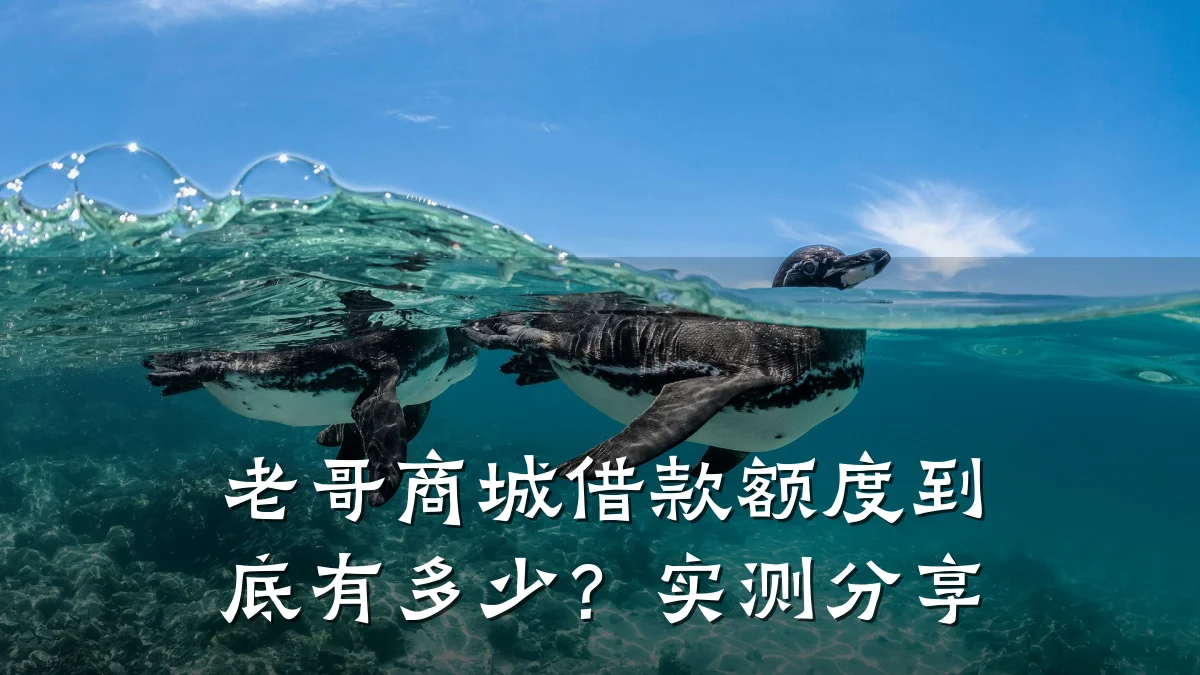 老哥商城借款额度到底有多少?实测分享