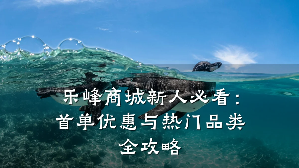 乐峰商城新人必看:首单优惠与热门品类全攻略