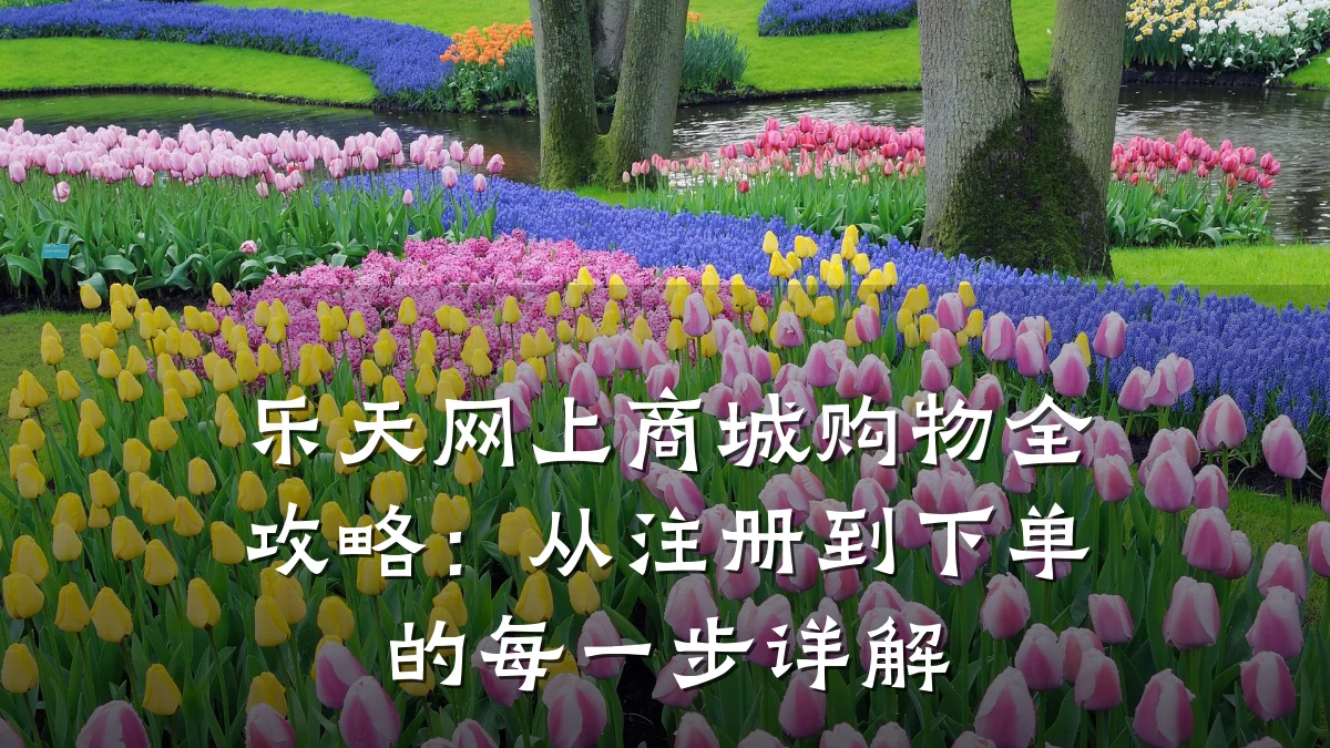 乐天网上商城购物全攻略:从注册到下单的每一步详解