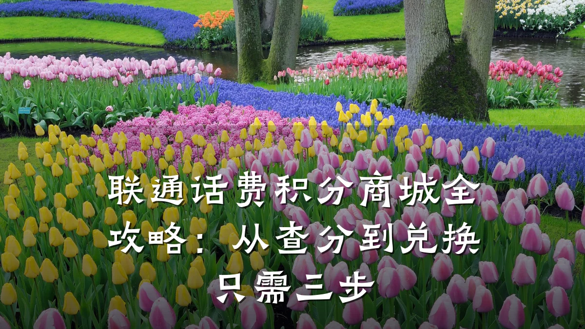 联通话费积分商城全攻略:从查分到兑换只需三步