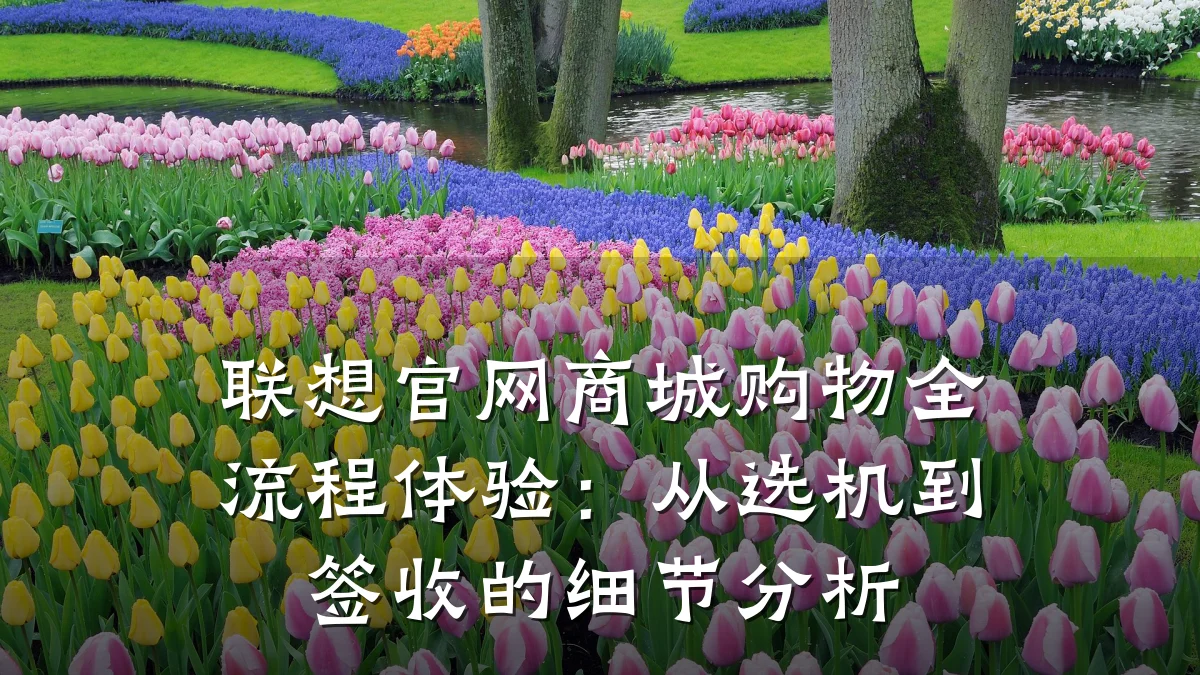 联想官网商城购物全流程体验：从选机到签收的细节分析