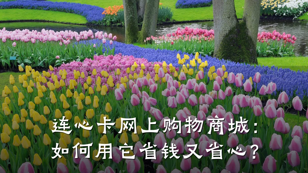 连心卡网上购物商城:如何用它省钱又省心?