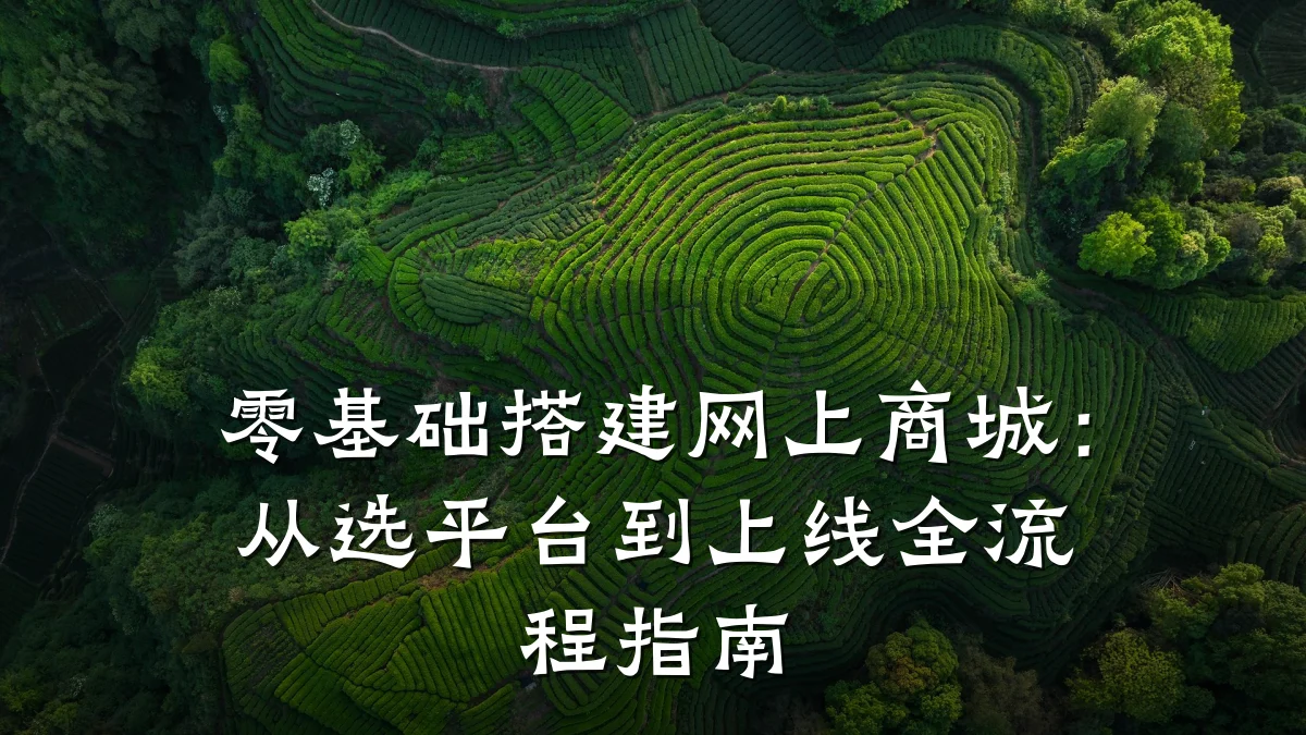 零基础搭建网上商城:从选平台到上线全流程指南