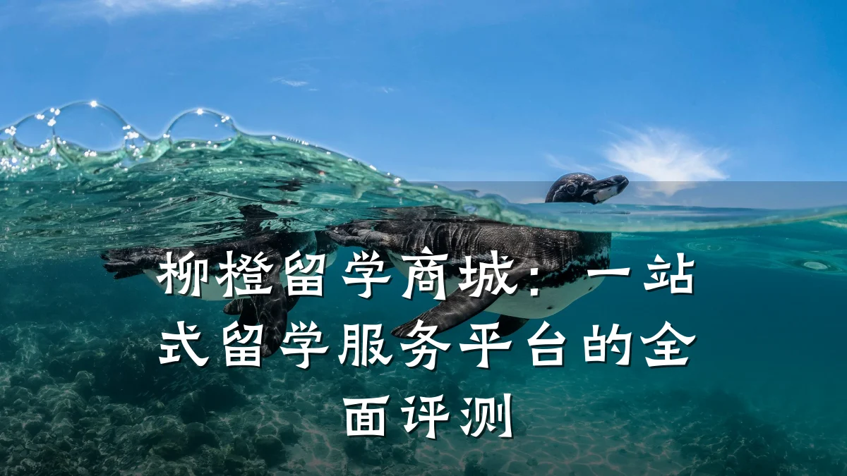 柳橙留学商城:一站式留学服务平台的全面评测