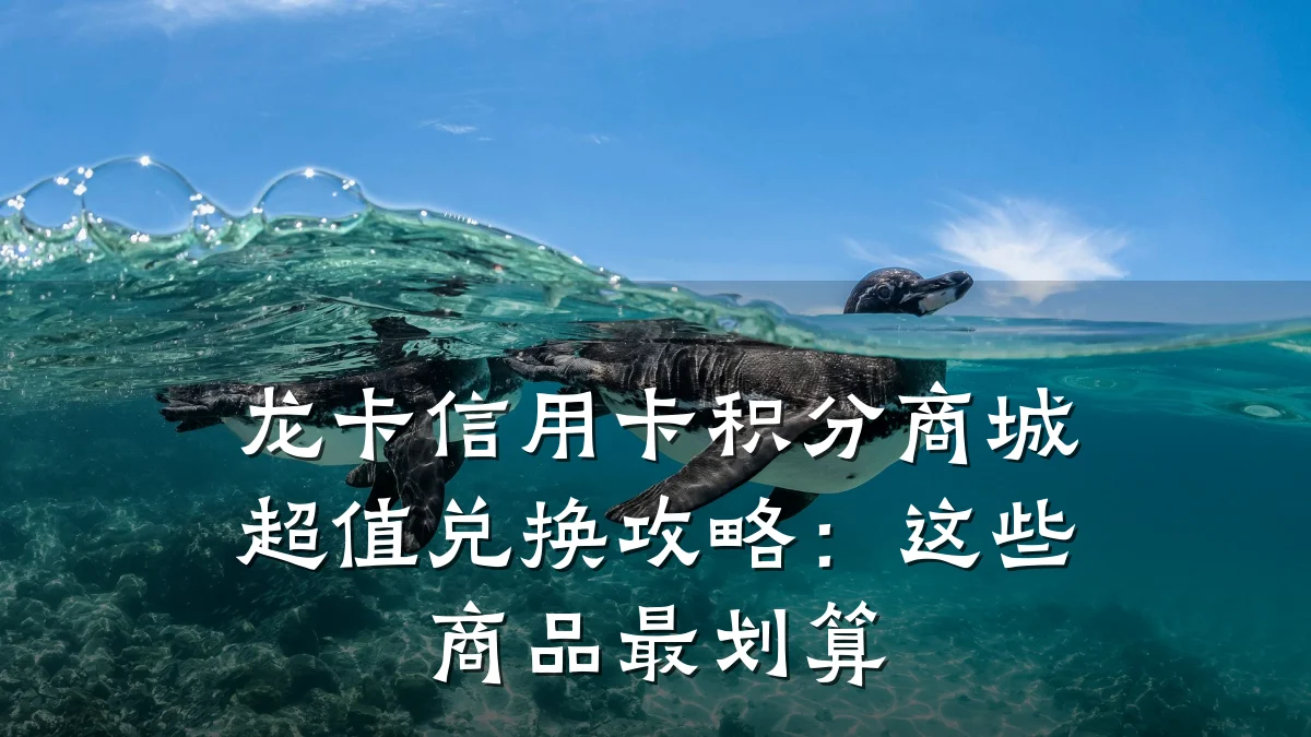 龙卡信用卡积分商城超值兑换攻略:这些商品最划算