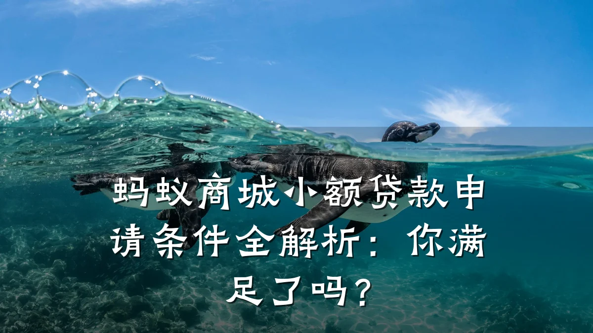 蚂蚁商城小额贷款申请条件全解析：你满足了吗？