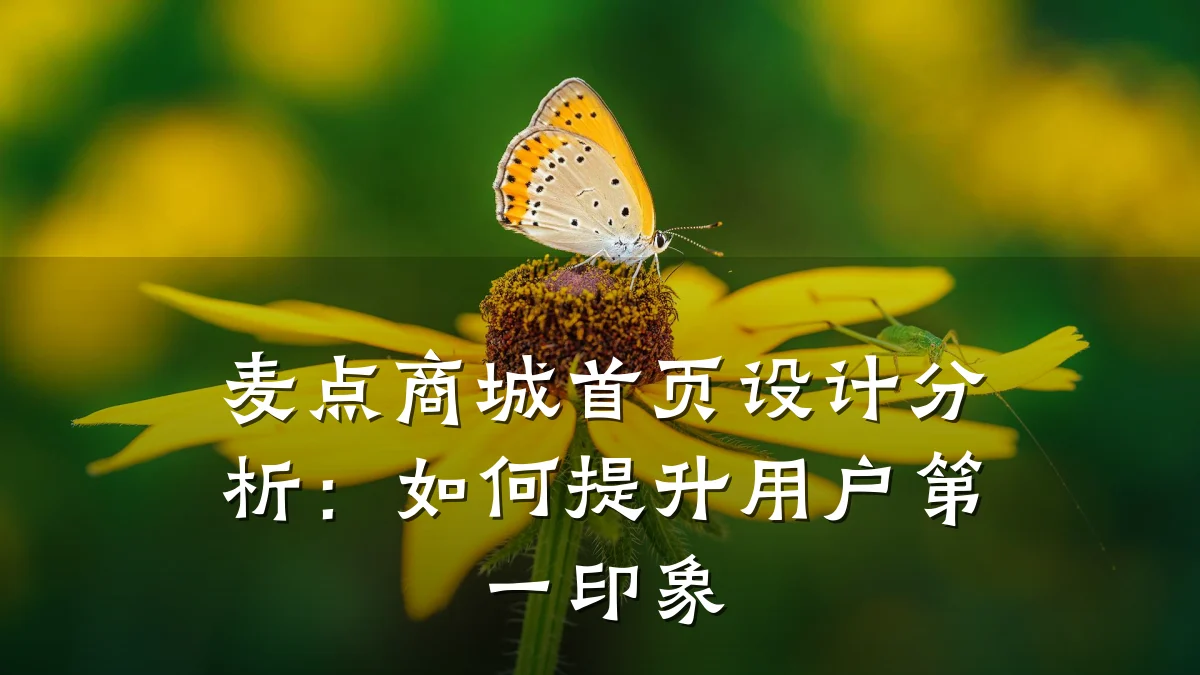 麦点商城首页设计分析:如何提升用户第一印象