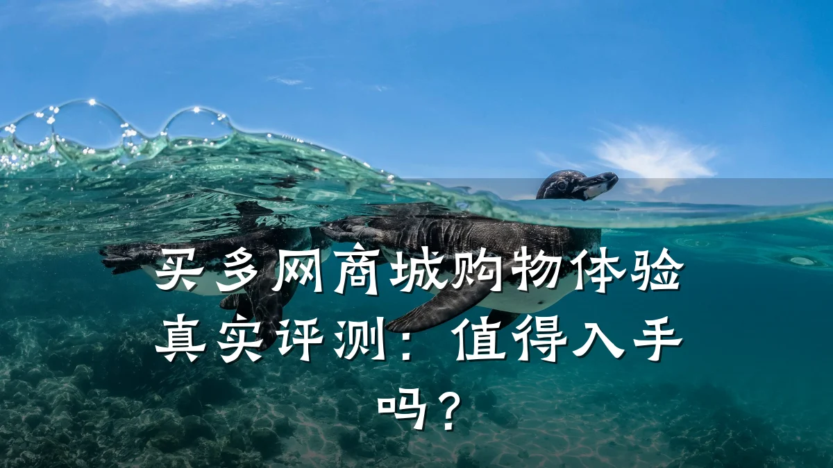买多网商城购物体验真实评测:值得入手吗?