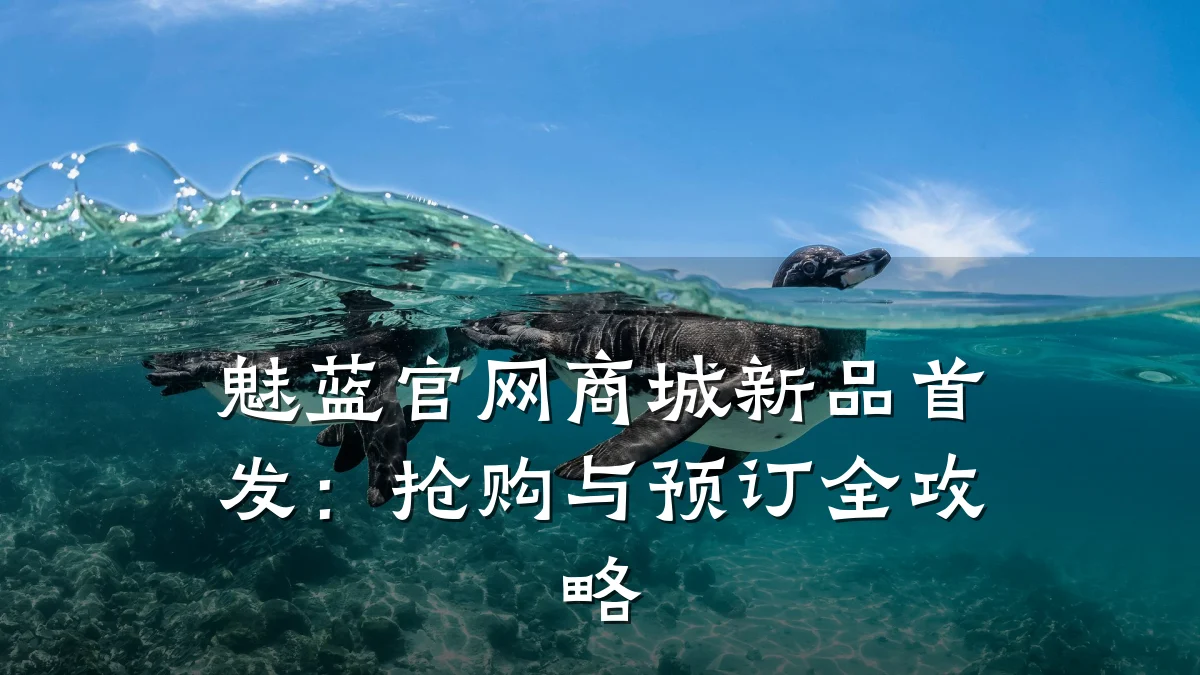 魅蓝官网商城新品首发:抢购与预订全攻略