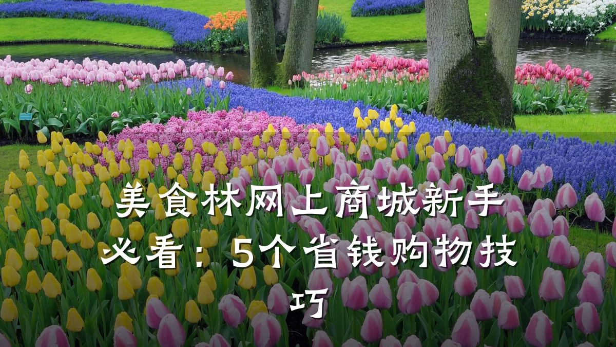 美食林网上商城新手必看:5个省钱购物技巧