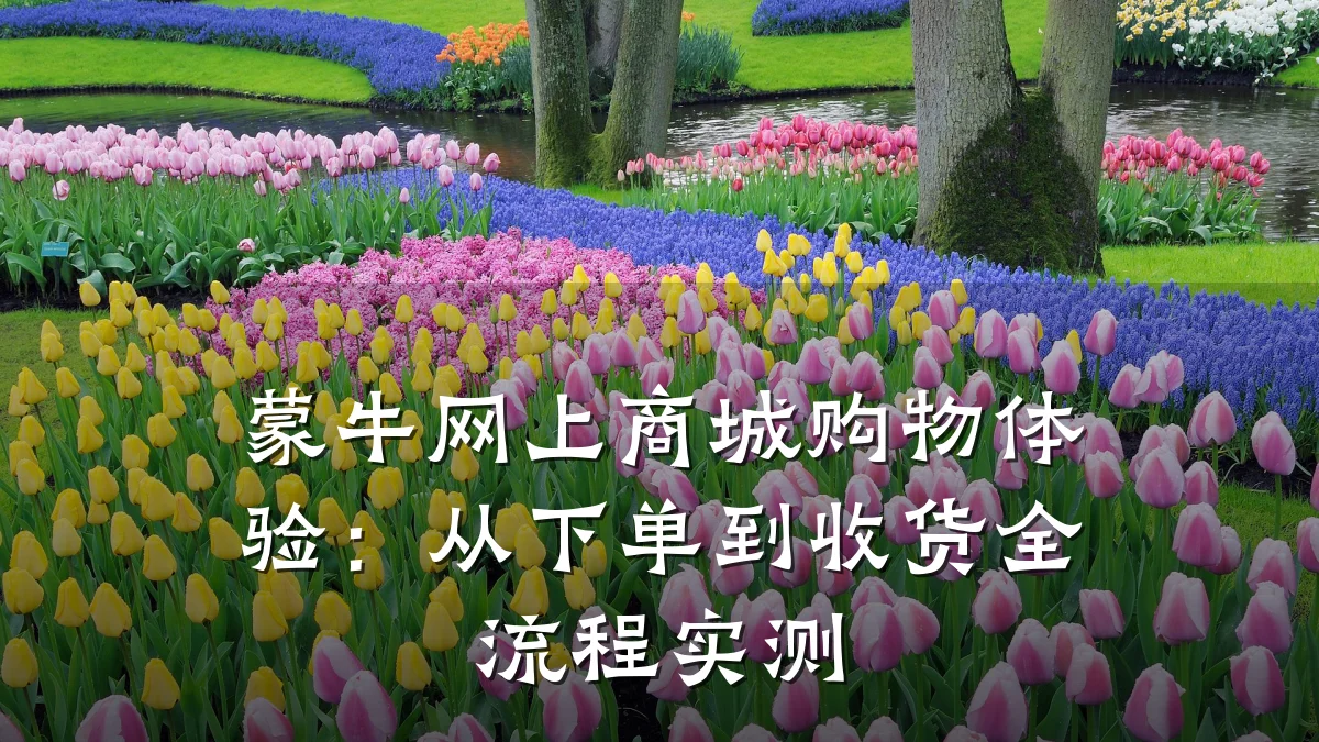 蒙牛网上商城购物体验:从下单到收货全流程实测