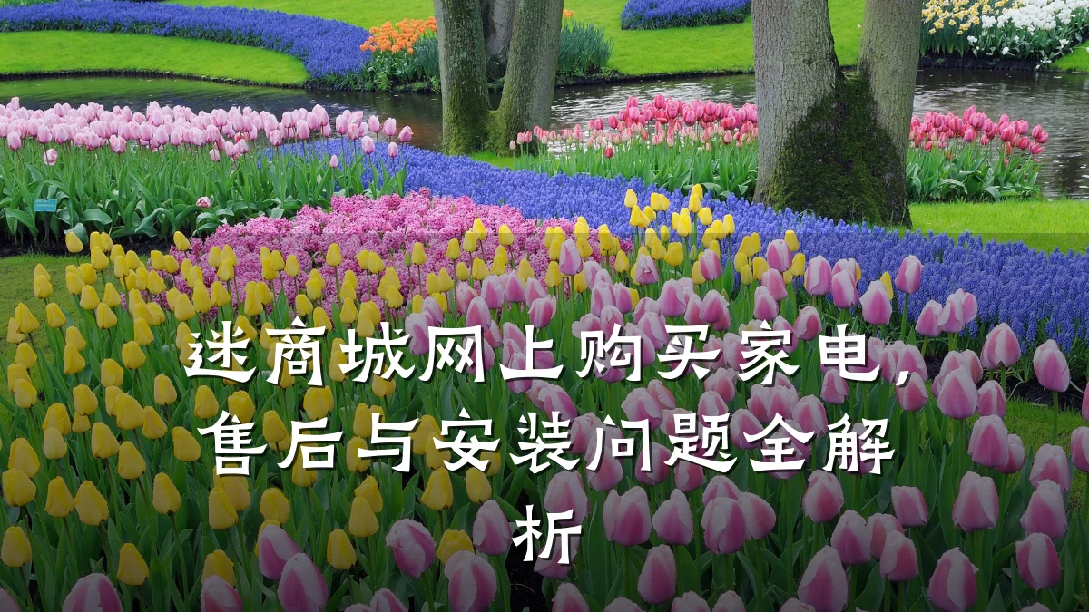 迷商城网上购买家电，售后与安装问题全解析