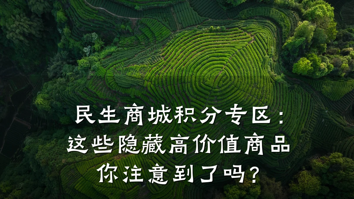 民生商城积分专区:这些隐藏高价值商品你注意到了吗?