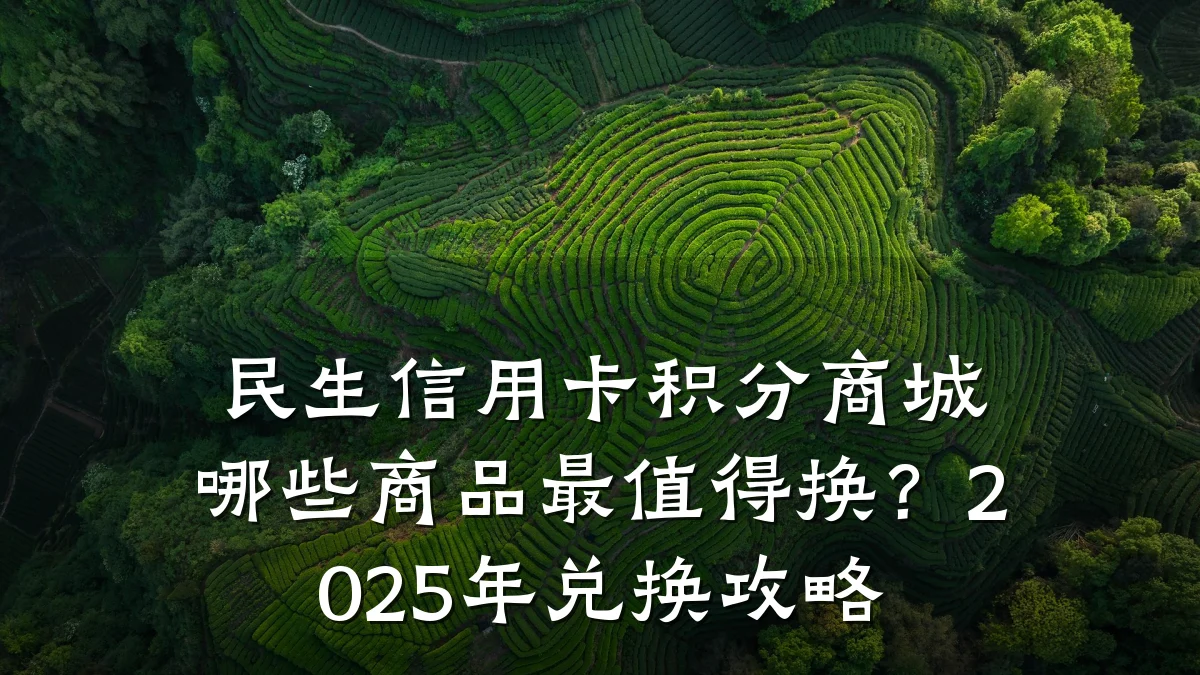 民生信用卡积分商城哪些商品最值得换?2025年兑换攻略