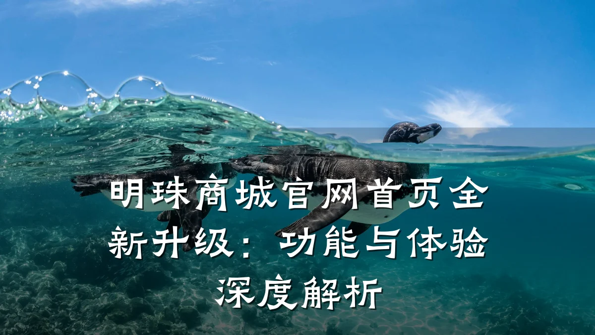 明珠商城官网首页全新升级:功能与体验深度解析