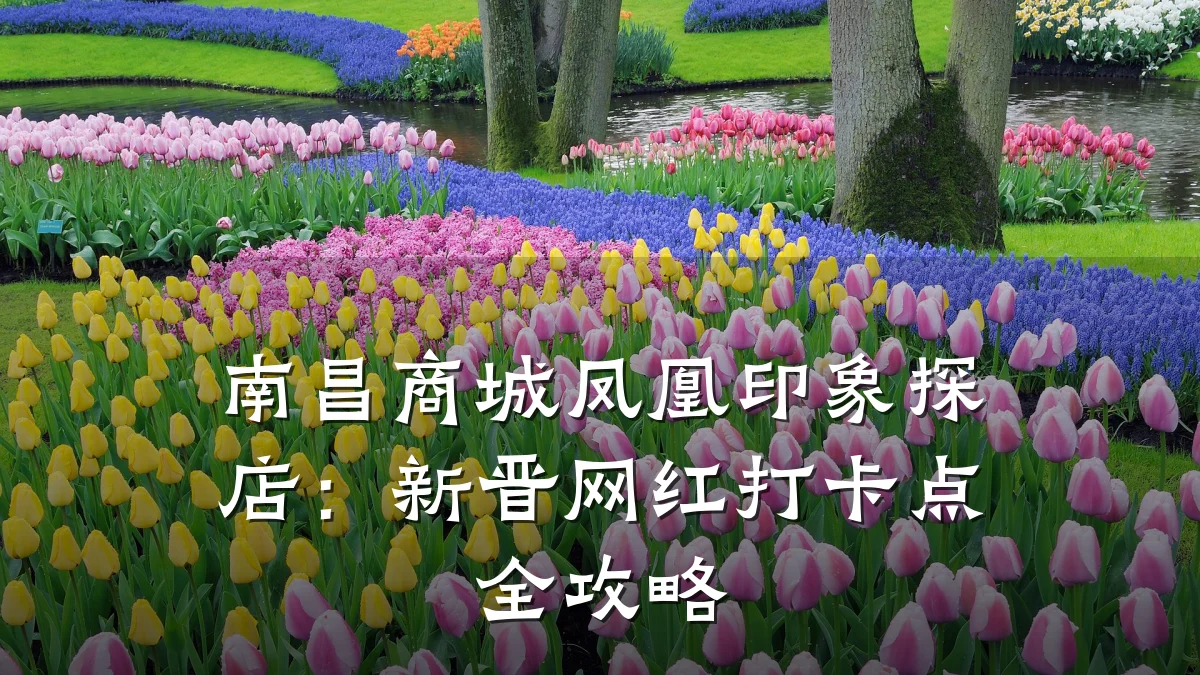 南昌商城凤凰印象探店:新晋网红打卡点全攻略