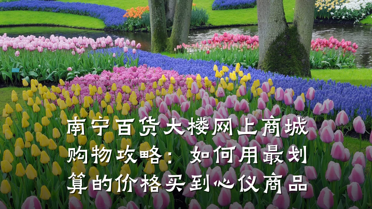 南宁百货大楼网上商城购物攻略：如何用最划算的价格买到心仪商品