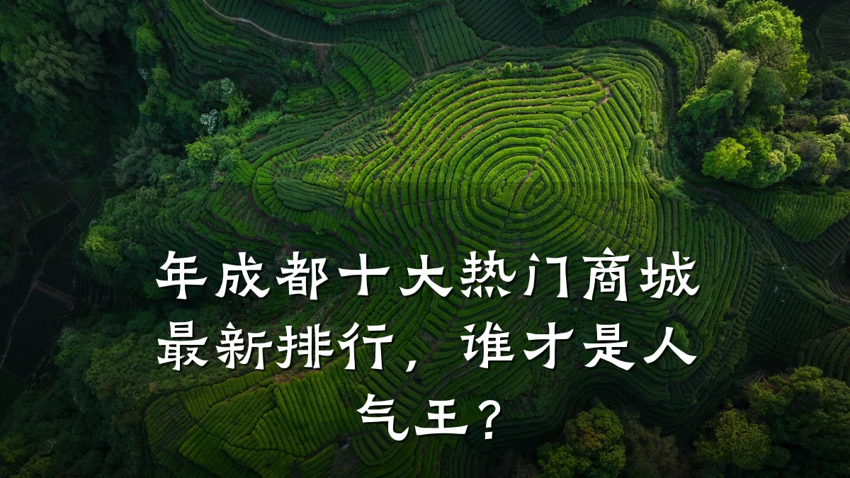 年成都十大热门商城最新排行,谁才是人气王?
