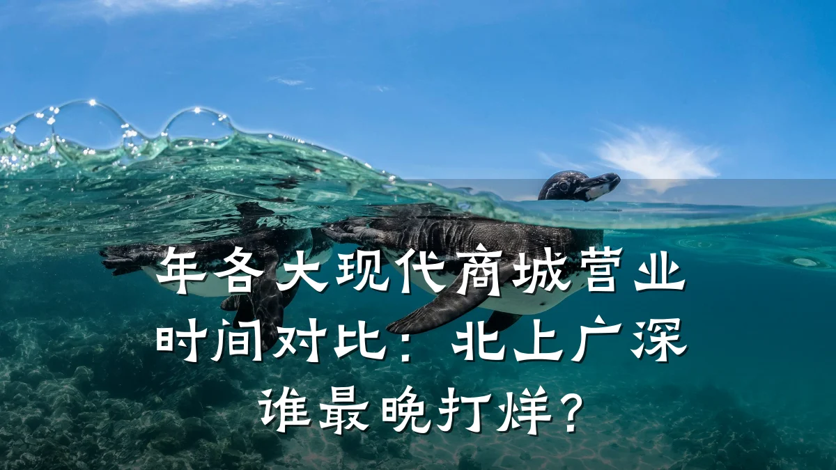年各大现代商城营业时间对比:北上广深谁最晚打烊?