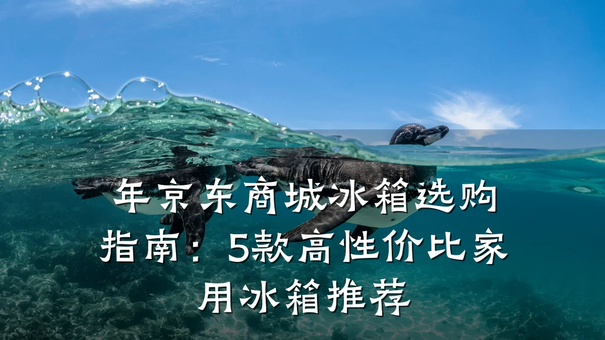 年京东商城冰箱选购指南:5款高性价比家用冰箱推荐
