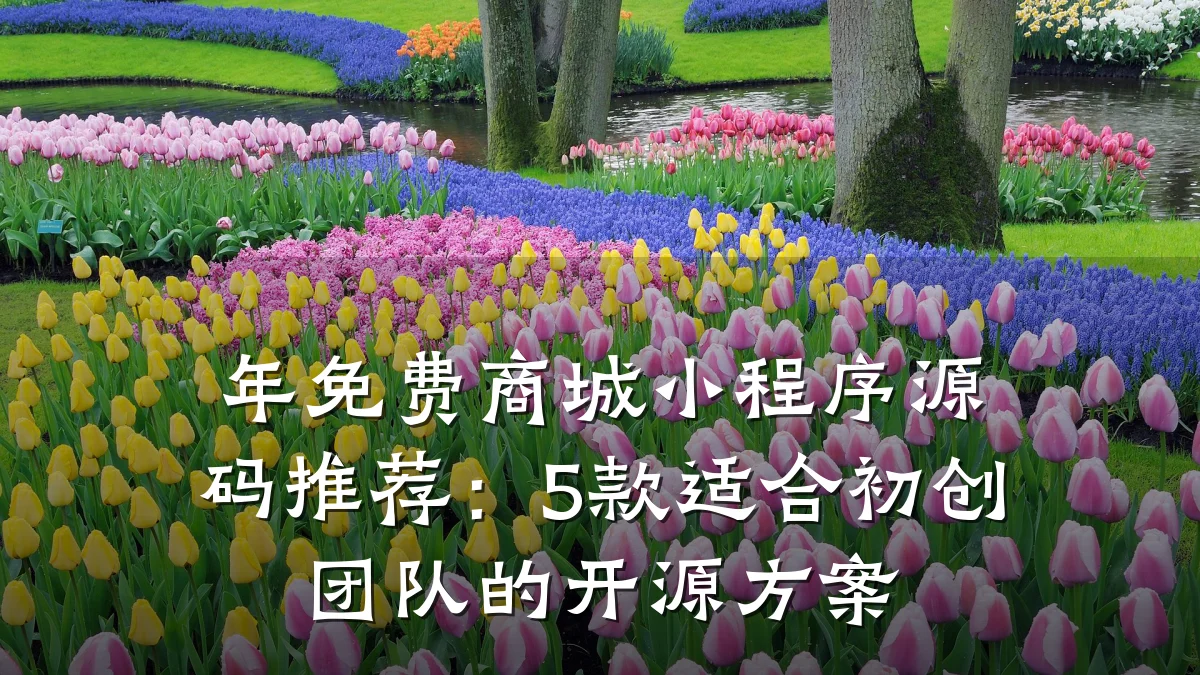 年免费商城小程序源码推荐:5款适合初创团队的开源方案