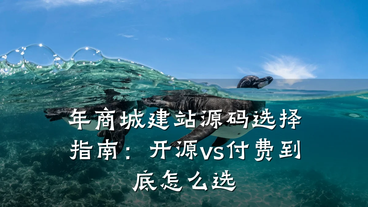 年商城建站源码选择指南:开源vs付费到底怎么选