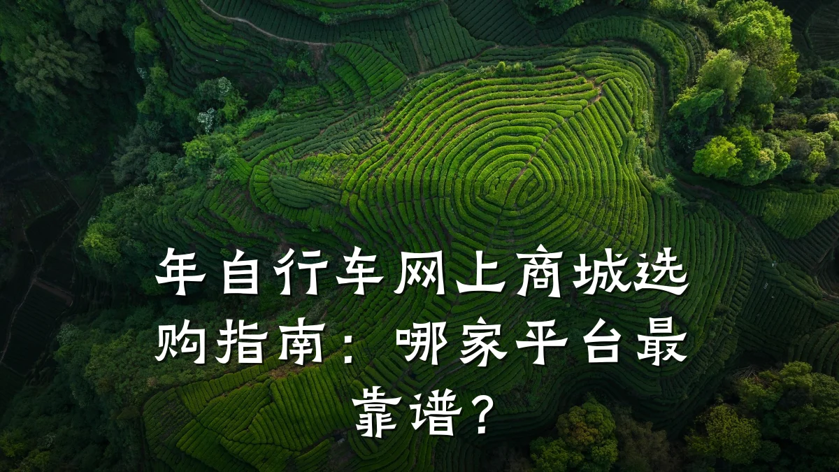 年自行车网上商城选购指南:哪家平台最靠谱?