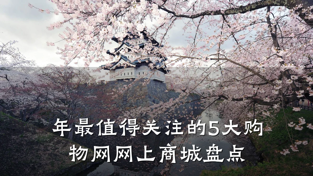 年最值得关注的5大购物网网上商城盘点