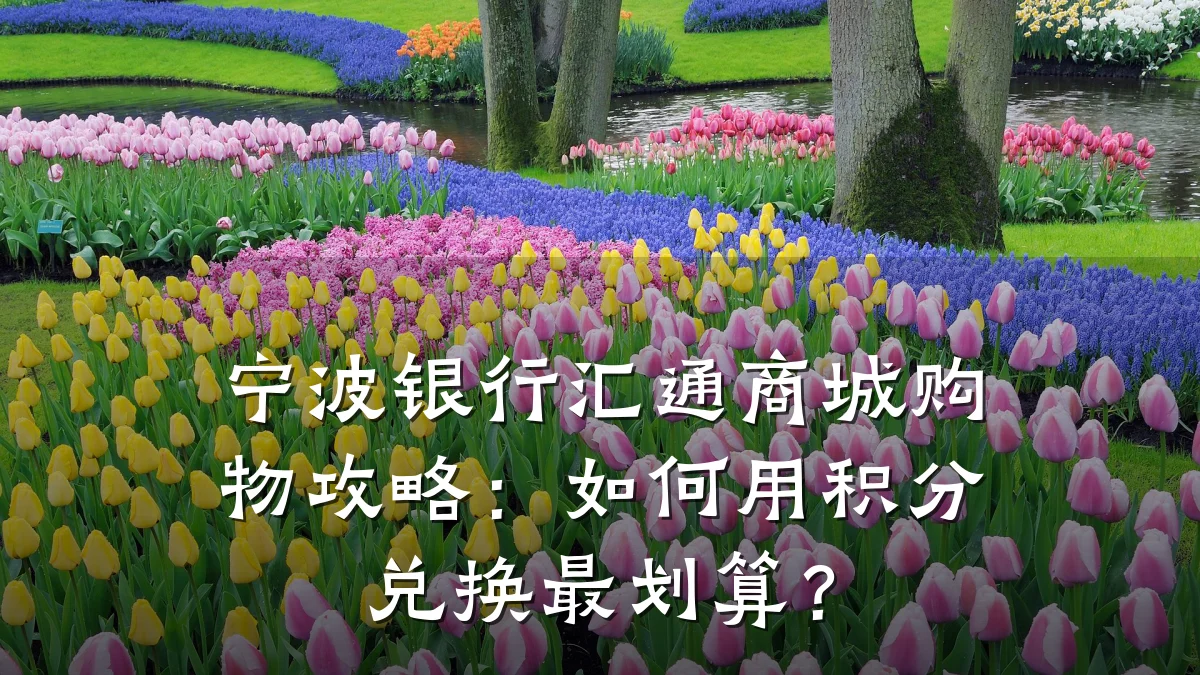 宁波银行汇通商城购物攻略:如何用积分兑换最划算?