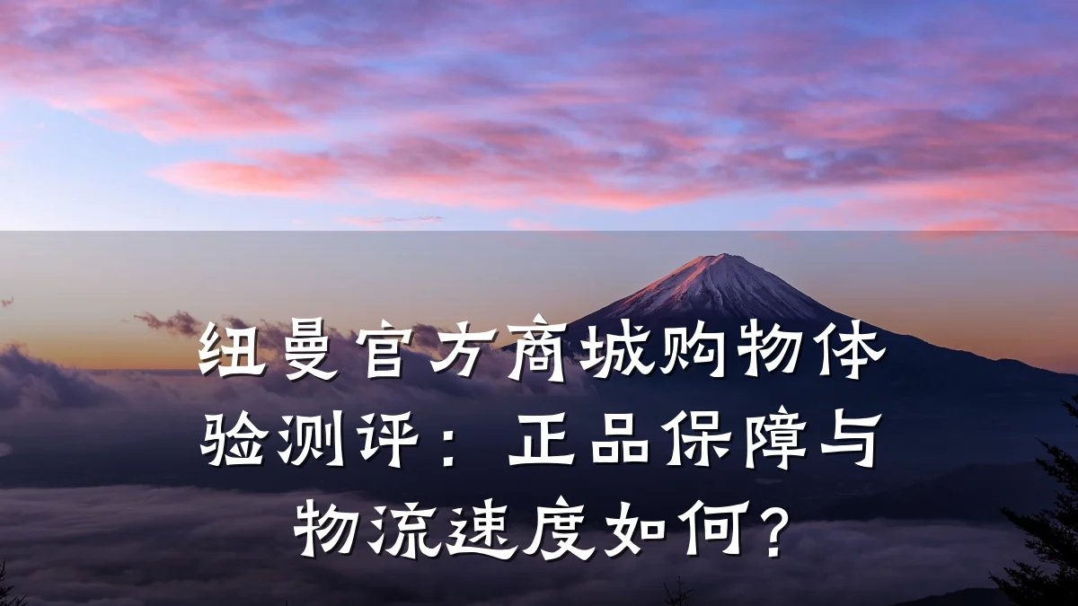 纽曼官方商城购物体验测评:正品保障与物流速度如何?