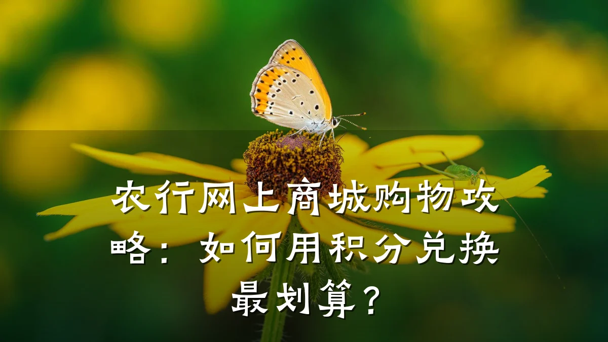 农行网上商城购物攻略:如何用积分兑换最划算?