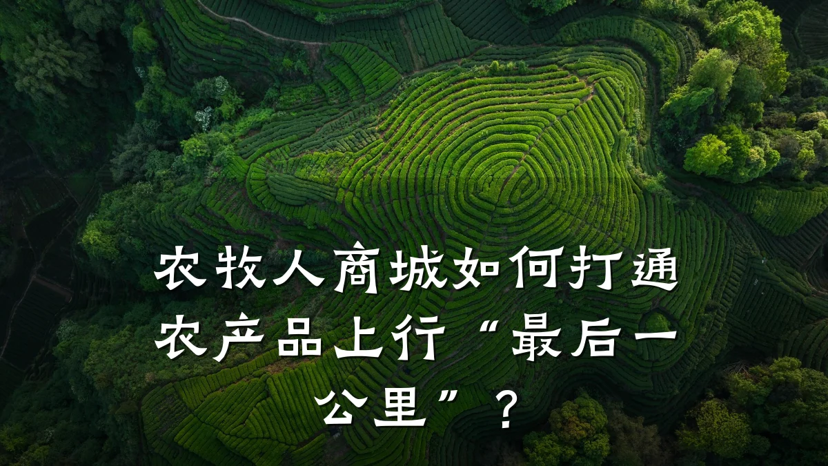 农牧人商城如何打通农产品上行“最后一公里”?