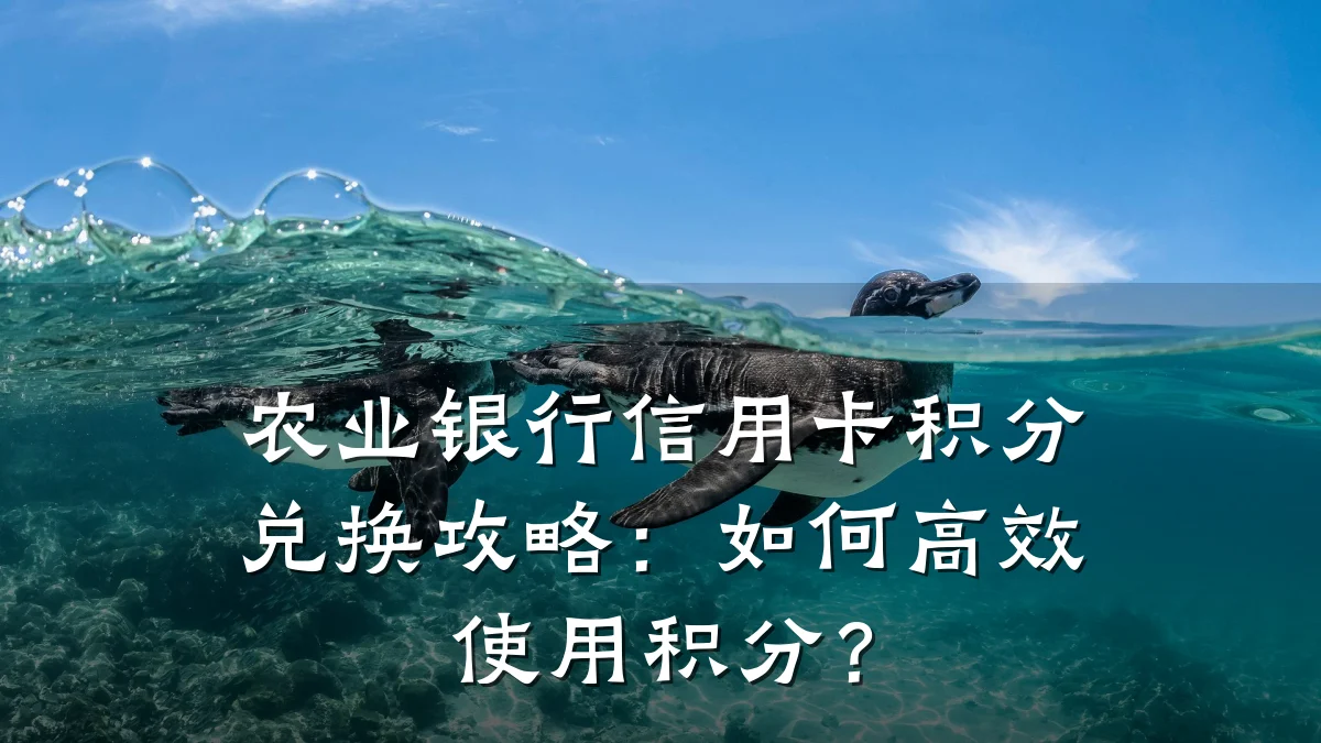 农业银行信用卡积分兑换攻略:如何高效使用积分?