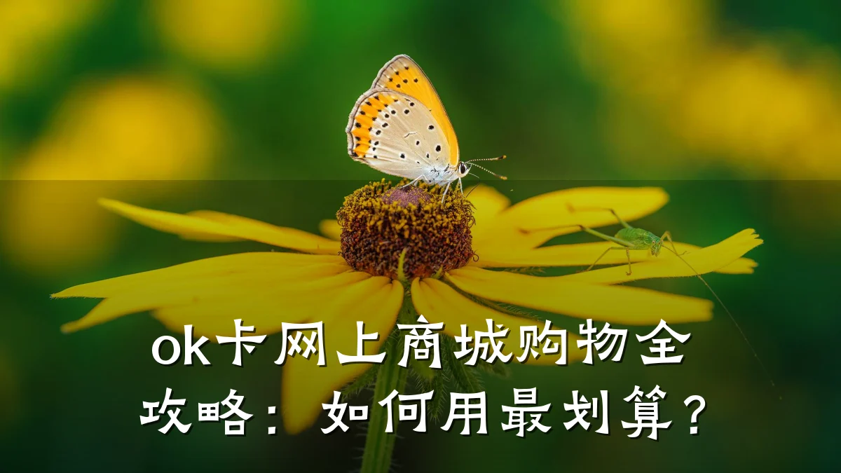 ok卡网上商城购物全攻略:如何用最划算?