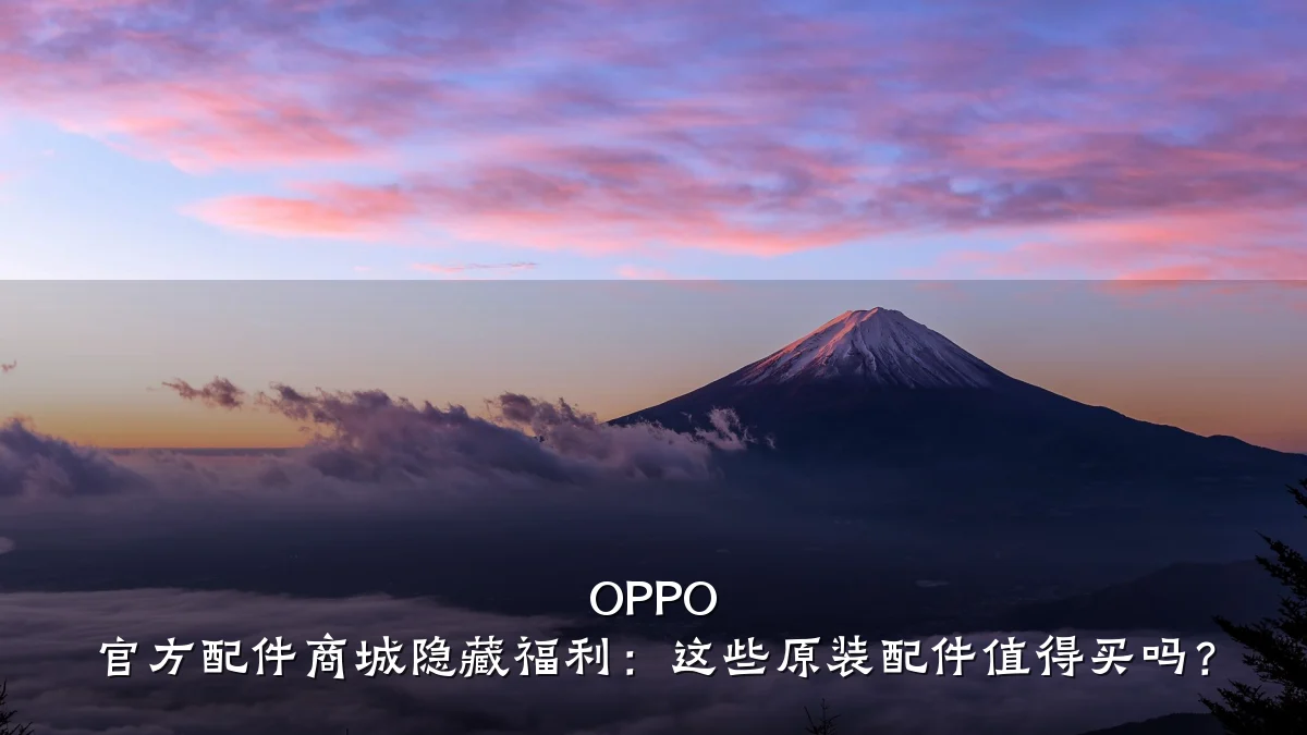 OPPO 官方配件商城隐藏福利:这些原装配件值得买吗?