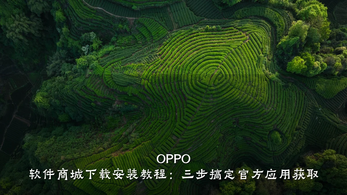 OPPO 软件商城下载安装教程:三步搞定官方应用获取