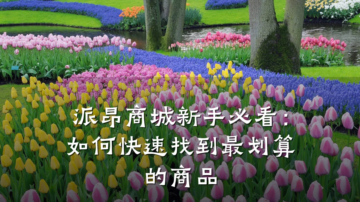 派昂商城新手必看：如何快速找到最划算的商品