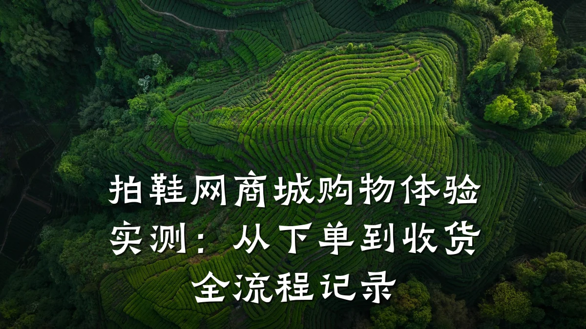拍鞋网商城购物体验实测:从下单到收货全流程记录