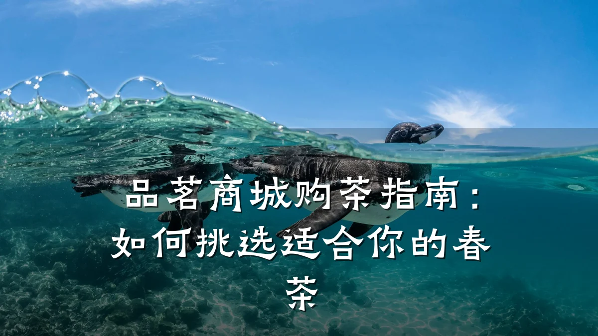 品茗商城购茶指南:如何挑选适合你的春茶