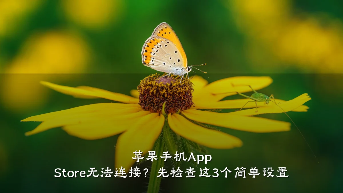 苹果手机App Store无法连接?先检查这3个简单设置