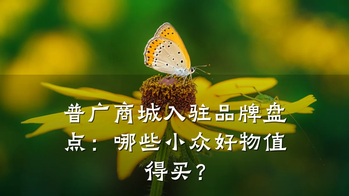 普广商城入驻品牌盘点：哪些小众好物值得买？