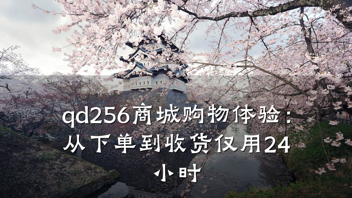 qd256商城购物体验:从下单到收货仅用24小时