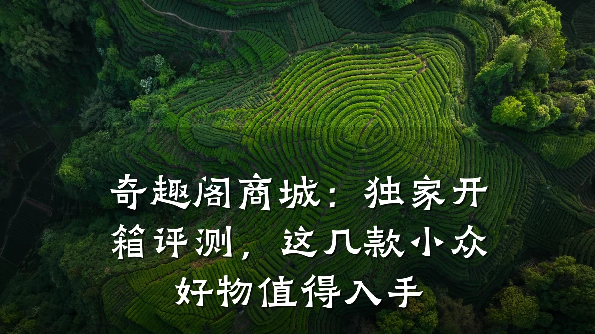 奇趣阁商城:独家开箱评测,这几款小众好物值得入手