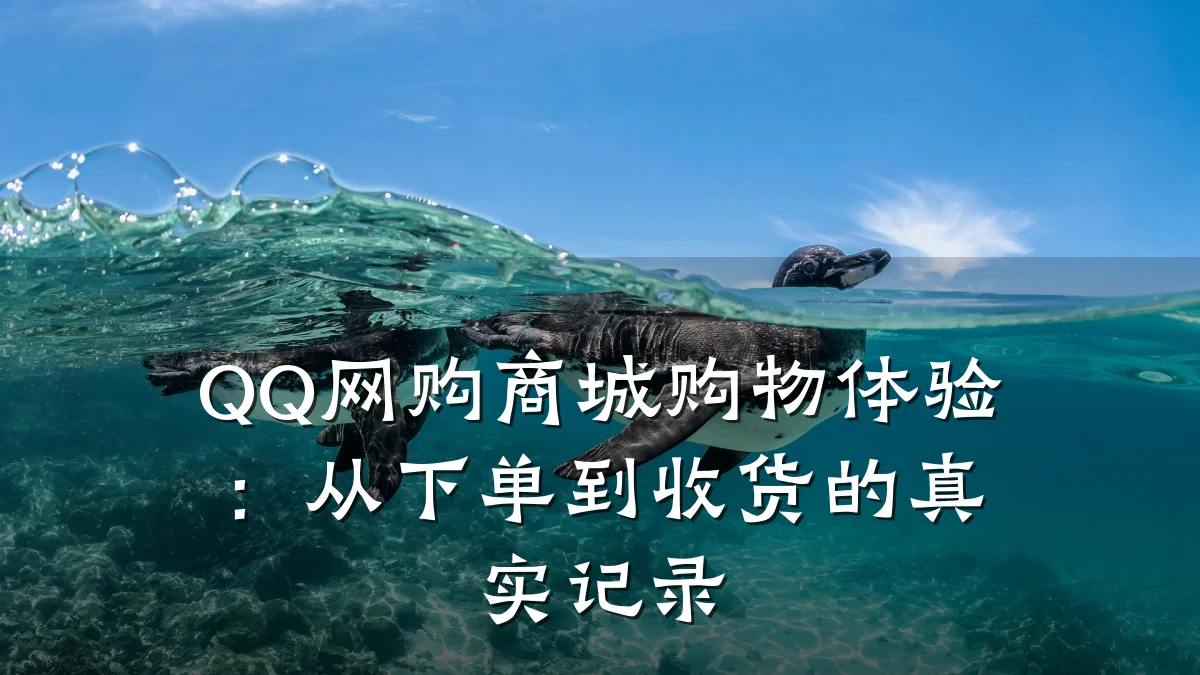 QQ网购商城购物体验:从下单到收货的真实记录