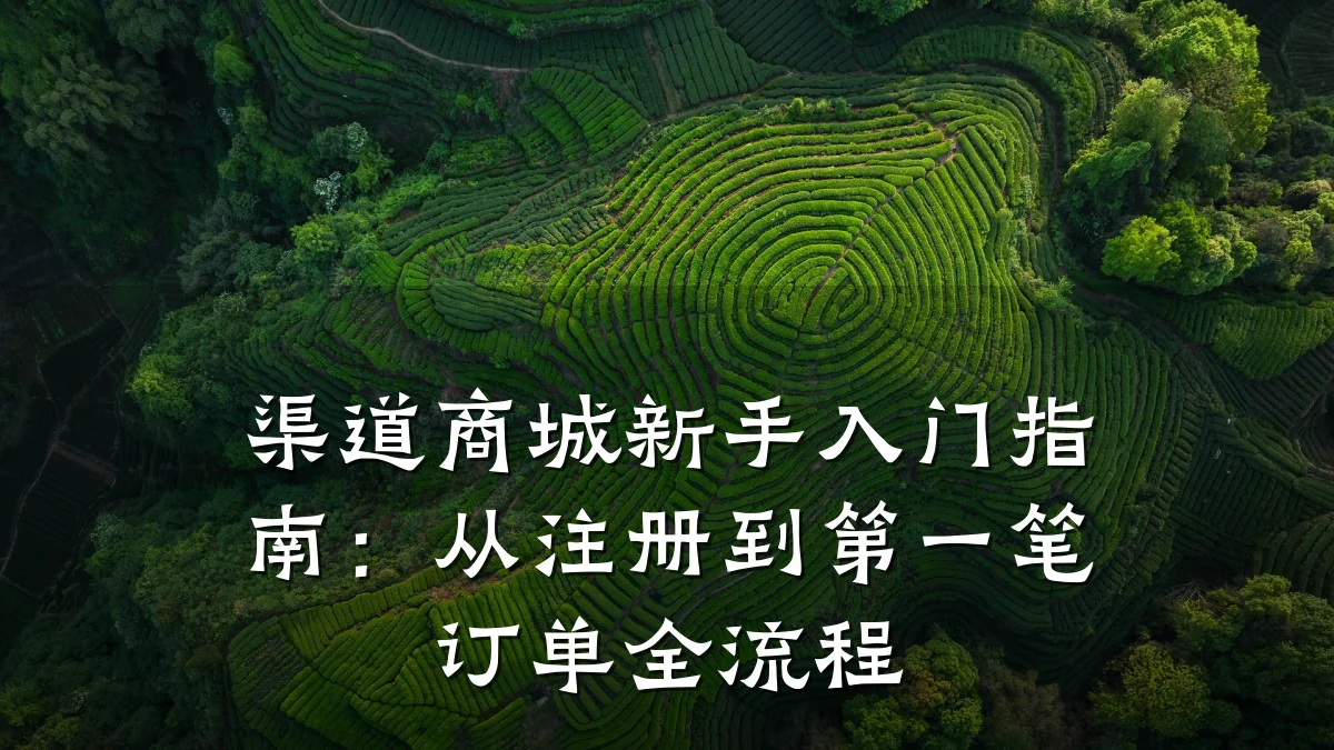 渠道商城新手入门指南：从注册到第一笔订单全流程