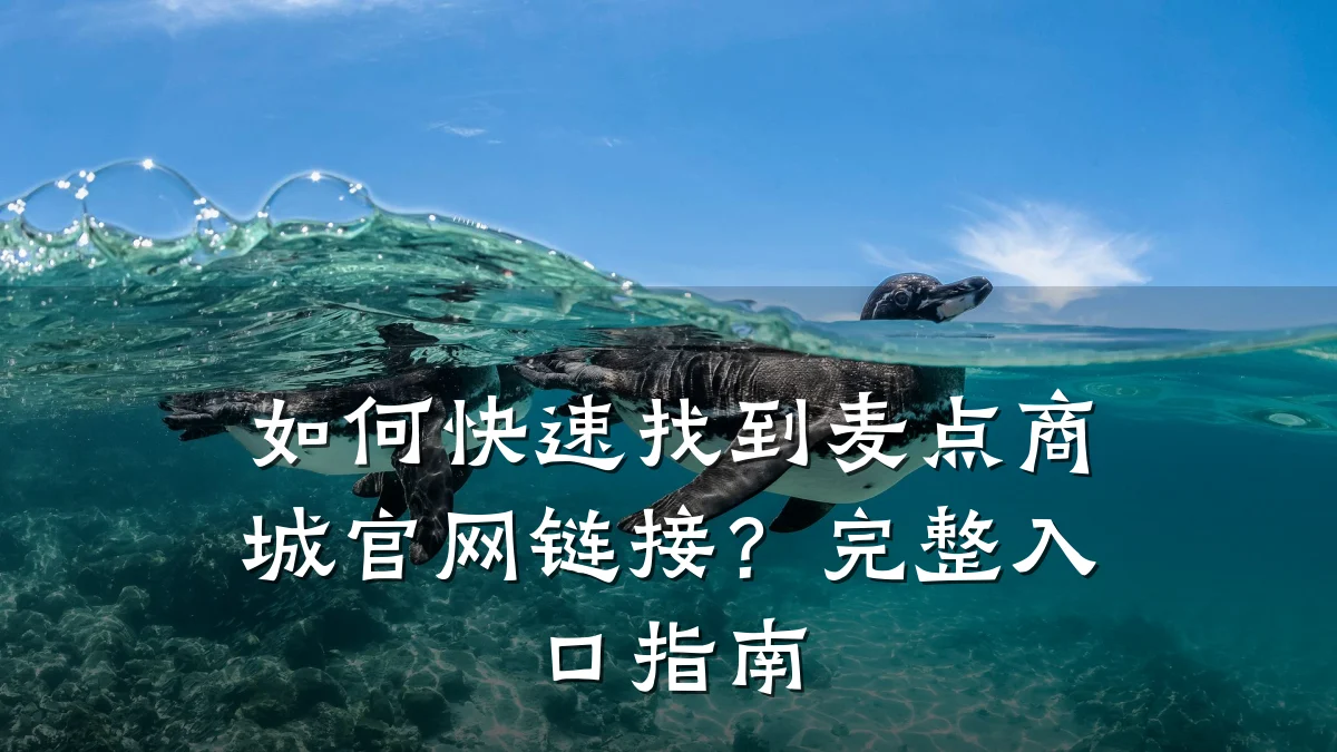 如何快速找到麦点商城官网链接?完整入口指南
