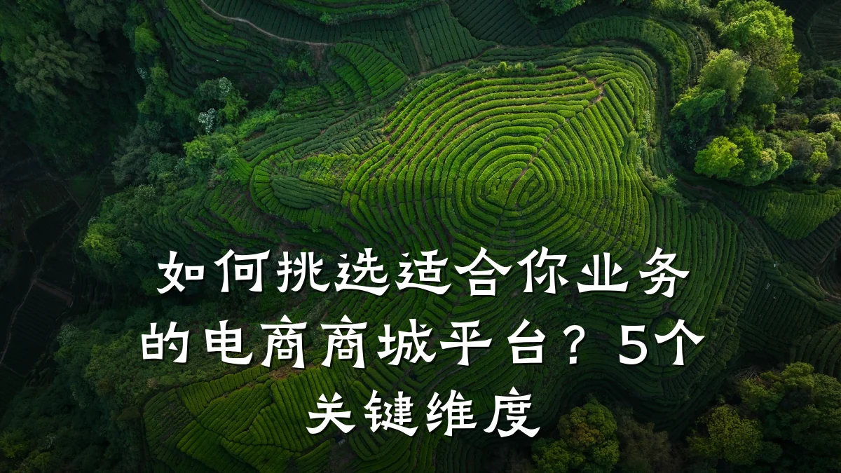如何挑选适合你业务的电商商城平台?5个关键维度