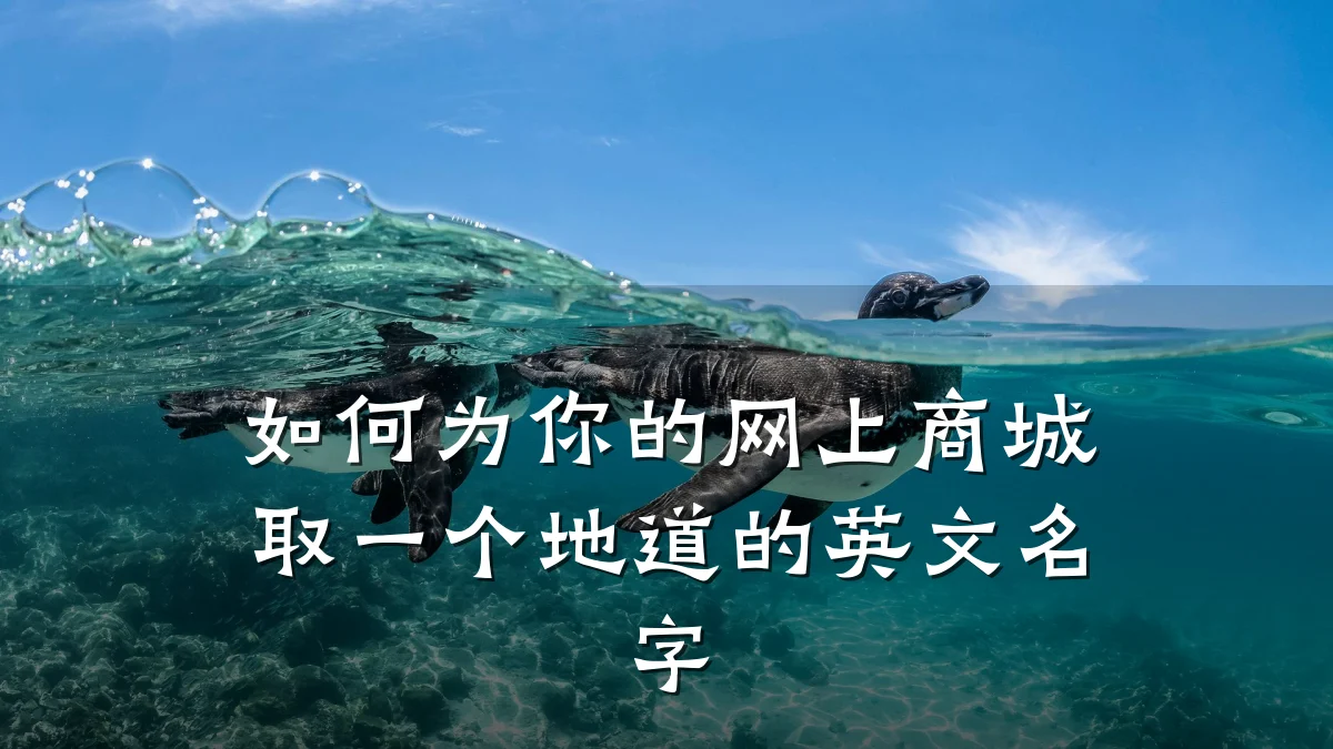 如何为你的网上商城取一个地道的英文名字