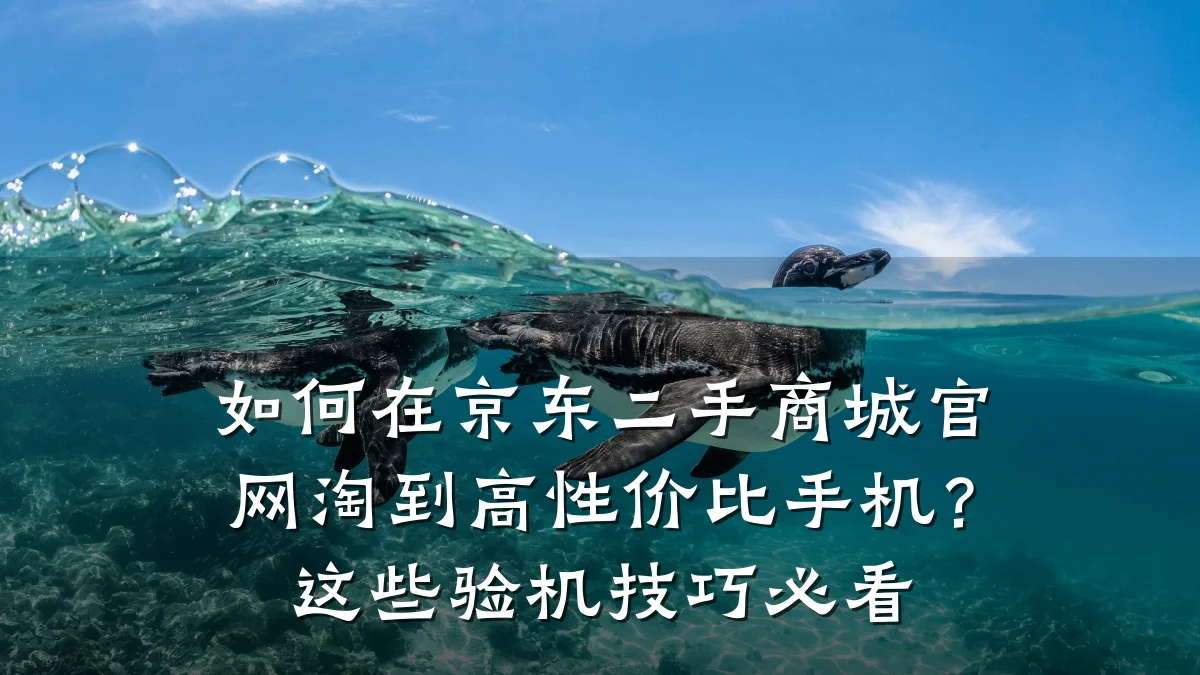 如何在京东二手商城官网淘到高性价比手机?这些验机技巧必看