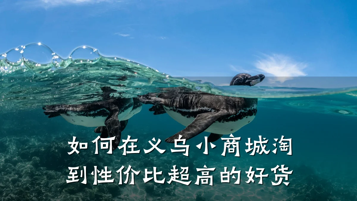 如何在义乌小商城淘到性价比超高的好货